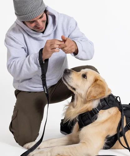 Miniatura 9 de Fei & Eve - Arnés para perro, sin tirones, nailon duradero, doble asa, panel táctico, pequeño (negro) 3-Point No-Pull Control, Dual Handle