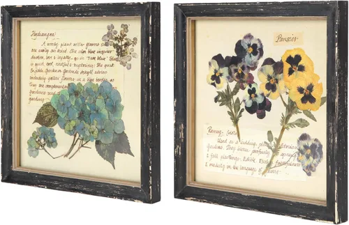 NIKKY HOME Juego de 2 arte botánico para pared, impresiones botánicas vintage con marco de madera y plantas florales, póster decorativo para baño,