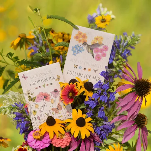 Miniatura 8 de Bentley Mezcla de Flores Silvestres, Paquetes Prellenados para Colibríes, 25 Paquetes de Flores Anuales, Regalo Ecológico Perfecto para Jardineros