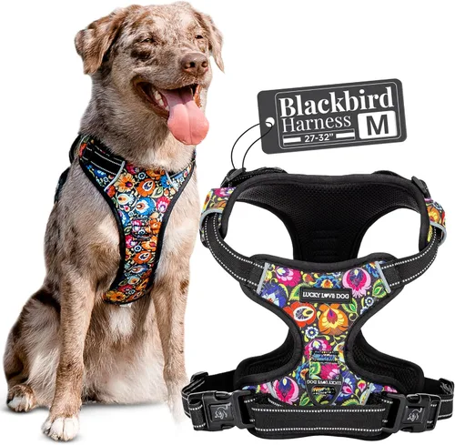 Miniatura 12 de Lucky Love Dog Arnés sin tirones para perro, ajustable y fácil de caminar, bonito arnés con patrón para perros pequeños, medianos y grandes