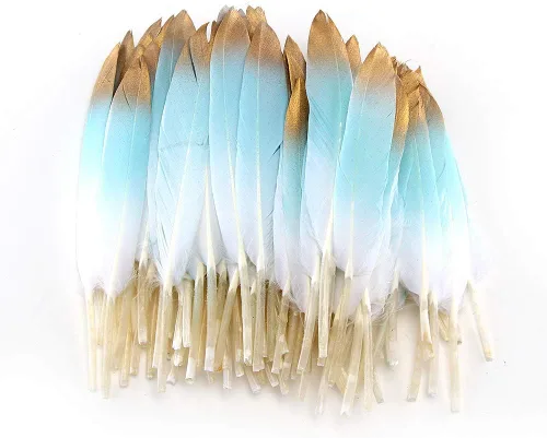 Sowder - 50 plumas de ganso coloridas bañadas en oro de 3.9 – 5.9 in, para manualidades, decoración de fiesta, accesorios de ropa, plumas de pato