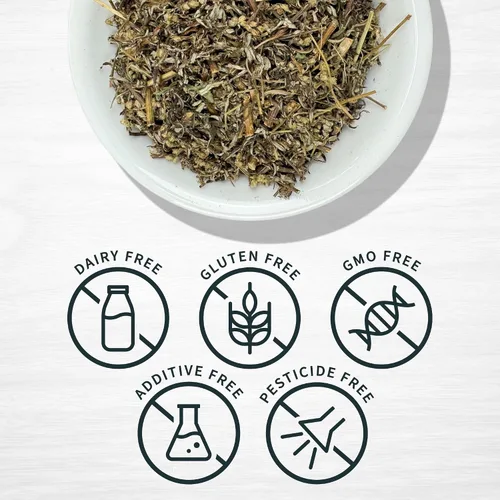 Miniatura 3 de Evergreen Herbs Hierba de artemisa, estafiate (artemisa) de 8 onzas. Artemisa mexicana, cronewort - Bolsa resellable para garantizar la frescura