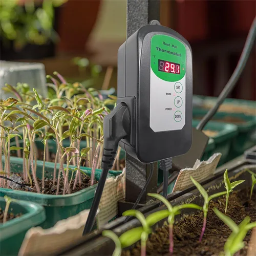 Miniatura 2 de Termostato digital con termostato térmico (certificado EMC) para germinación de semillas, reptiles e invernadero de incubación de cría de cerveza