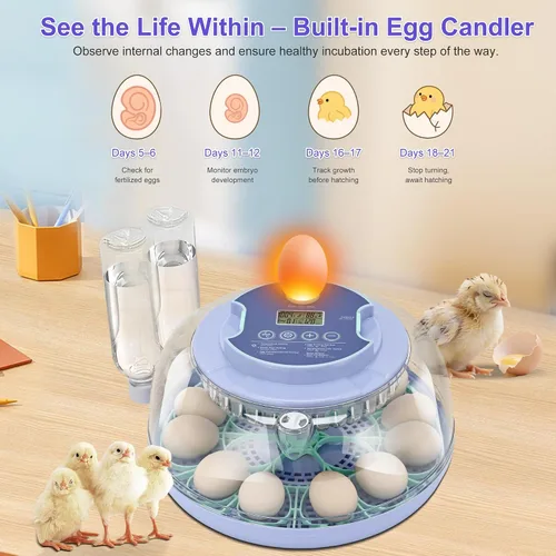 Miniatura 6 de Incubadora de 18 huevos para incubar pollos, girador automático de huevos con capacidad para 18 huevos, incubadora inteligente con ventana