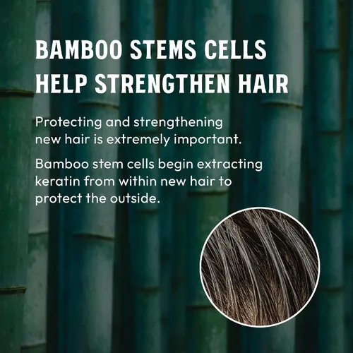 Miniatura 8 de MARO17 Champú Black Plus 13.8 fl oz (11.8 fl oz)