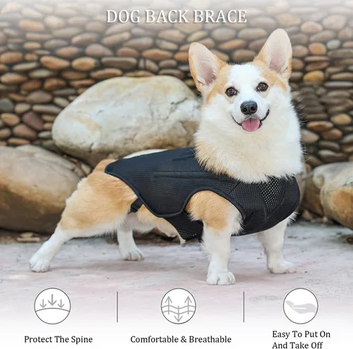 Miniatura 5 de IVDD - Soporte de espalda para perros, chaleco flexible de apoyo de espalda de perro salchicha para mascotas, soporte de espalda para mascotas