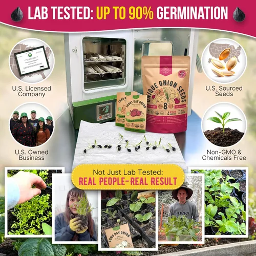 Miniatura 2 de Organo Republic Paquete variado de 8 semillas de cebolla reliquia, sin OGM, juegos para jardinería en interiores y exteriores. Más de 2200 semillas
