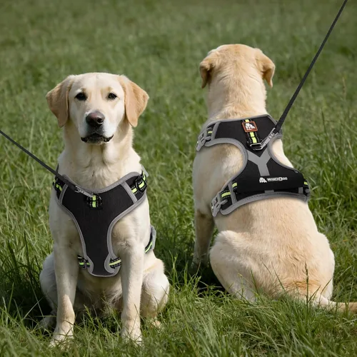 Miniatura 3 de Arnés para perro, chaleco para mascotas sin tirones, tira reflectante a prueba de escape, fácil de ajustar, arnés para perro con función a prueba