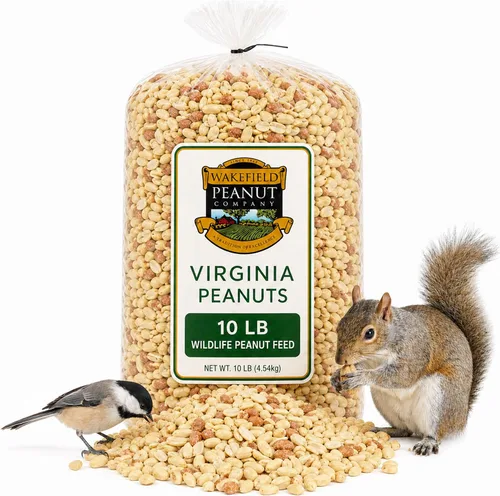 Miniatura 13 de Wakefield - Cacahuetes Virginia prémium para ardillas, arrendajos azules y vida silvestre, bolsa de 6 libras, recogidos a mano, crudos, sin sal