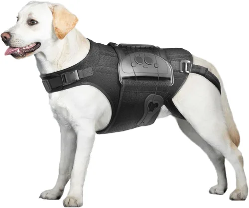 Miniatura 8 de Soporte de espalda para perro para IVDD, artritis, discos deslizados y herniados - Proporciona apoyo para la espalda y alivio del dolor, estabiliza
