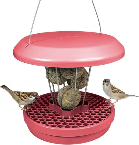 Miniatura 19 de SWISSINNO Comedero para pájaros – Comedero colgante para pájaros sin desorden para exteriores – Smart Birds Davos a prueba de derrames, cardenales