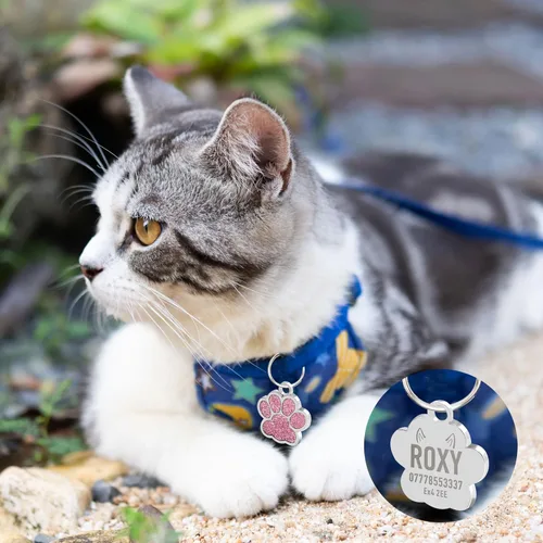 Miniatura 5 de Etiquetas para perros personalizadas para mascotas, etiqueta para perro, etiquetas para gato, etiquetas de nombre de perro personalizadas, etiquetas