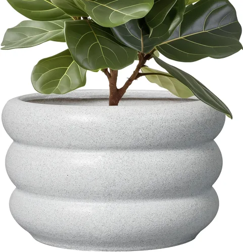 Miniatura 39 de Maceta de cerámica SQOWL para plantas de 8 pulgadas - Maceta de interior con orificio de drenaje para plantas de exterior, maceta floral moderna