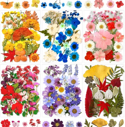 Miniatura 9 de MIKIYA 90 piezas de flores secas prensadas de otoño para resina, hojas florales secas de color naranja natural a granel para manualidades, moldes