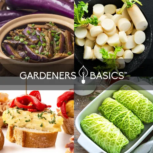 Miniatura 3 de Gardeners Basics, Semillas de verduras asiáticas para plantar 8 paquetes Bok Choy, Michihili (Napa) col china, tatsoi, cebolla, rábano blanco