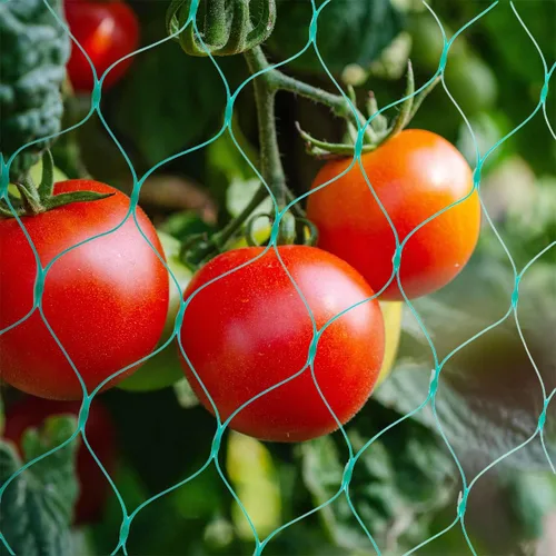 Miniatura 2 de Red para pájaros para jardín, red de jardín de 12 x 48 pies, red de árboles frutales no se enreda y malla reutilizable para pájaros protege las 13 x