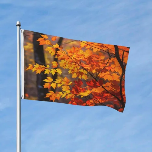 Miniatura 4 de Bandera estadounidense en la pared impresa de doble cara de 3 x 5 pies, bandera de felicitación del día nacional para jardín, patio, casa