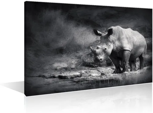 Miniatura 15 de Arte de pared en blanco y negro con diseño de vaca escocesa de las tierras altas en la Isla de Mull impresiones sobre lienzo, decoración del hogar