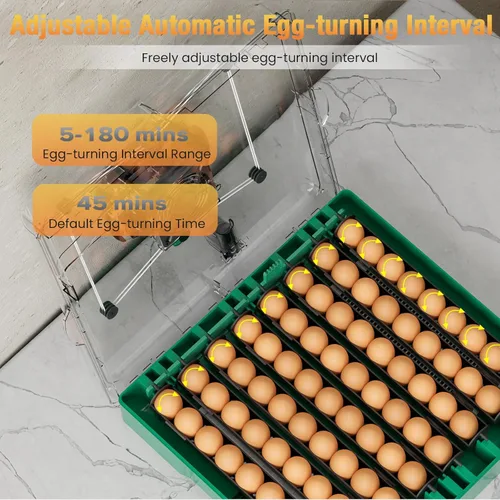 Miniatura 6 de Incubadora de huevos para huevos de gallina, capacidad máxima de 72 huevos con girador automático de huevos y control de humedad, incubadora