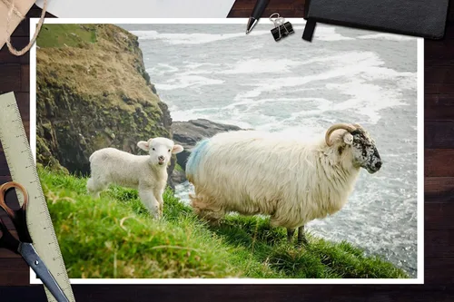 Miniatura 2 de Lantern Press Irlanda, madre oveja con cordero bebé, fotografía A-92045 (póster artístico de pared de 12 x 18, decoración de impresión digital)