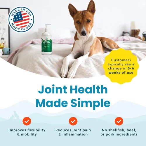 Miniatura 7 de Paramount Pet Health Glucosamina líquida a base de plantas para perros, 1600 mg de apoyo articular condroitina, MSM y Omega 3-6-9, suplemento