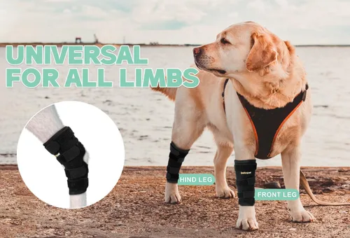 Miniatura 2 de Soporte para Pata Trasera de Perro, Tobillera para Pata Trasera de Perro, Envoltura de Compresión con Fuerte Soporte para Articulación del Corvejón