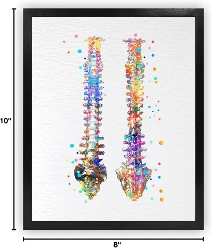 Miniatura 9 de Dignovel Studios 8X10 sin marco de la columna vertebral humana anatomía ósea médico médico acuarela arte impresión cartel inauguración casa giclée