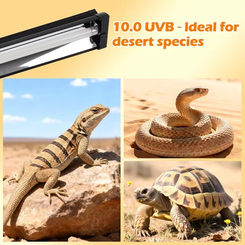 Miniatura 9 de T5 UVB - Kit combinado de lámpara para reptiles 8W 10.0 - Luz HO UVB completa para reptiles con capucha de terrario de 12.44 pulgadas, bombilla UVB