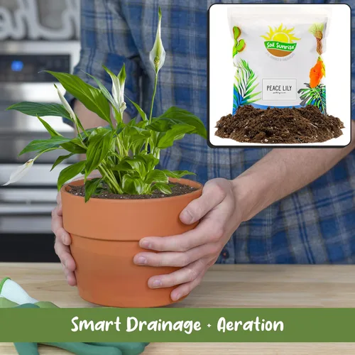 Miniatura 4 de Soil Sunrise Peace Lily - Mezcla de tierra para macetas (8 cuartos de galón) para plantar, cultivar o trasplantar plantas de lirio de la paz