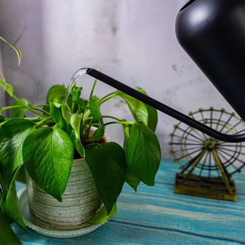 Miniatura 3 de Regadera de metal con boquilla larga de 40 oz/1.3 L, regadera de acero inoxidable para plantas de interior y exterior, negro mate