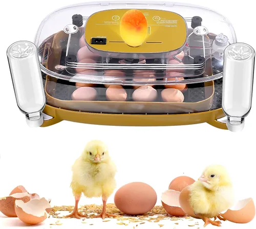 Incubadora de 24 huevos con girador automático, asiento de termómetro y control de humedad, perfecta para incubar pollo, incluye vela de huevos y