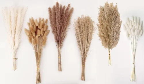 Miniatura 2 de Decoración de hierba seca de las pampas, 120 piezas de hierba de las pampas con colas de conejo, ramo de hierba de caña para bodas, flores bohemias