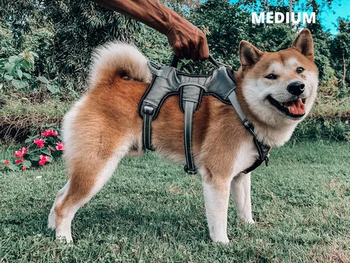 Miniatura 7 de Arnés para perros a prueba de escape, sin escape, de Tuff Pupper Arnés ajustable de 5 puntos para perros Arneses acolchados para perros Gris