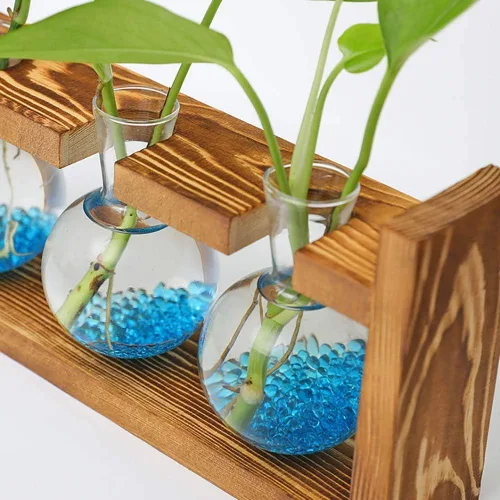 Miniatura 7 de Kingbuy Estación de propagación de terrarios de plantas de vidrio, jarrones de colores de 3 bombillas con soporte de madera retro, maceta de jardín