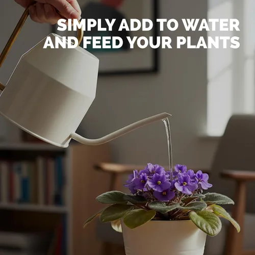 Miniatura 5 de Fertilizante violeta africana – Alimento líquido vegetal para más floraciones, hojas verdes ricas y desarrollo saludable de raíces, 8 onzas
