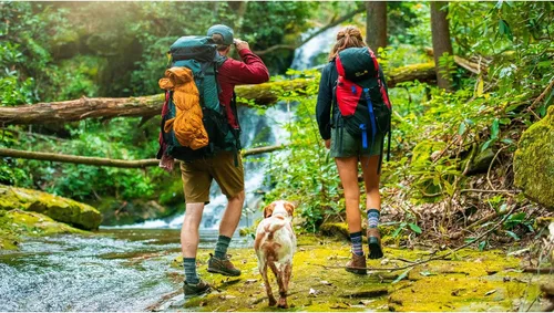 Miniatura 3 de FITS Light Hiker