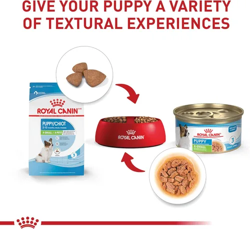 Miniatura 5 de De Royal Canin, Size Health Nutrition, comida seca para cachorros extra pequeños, comida para perros
