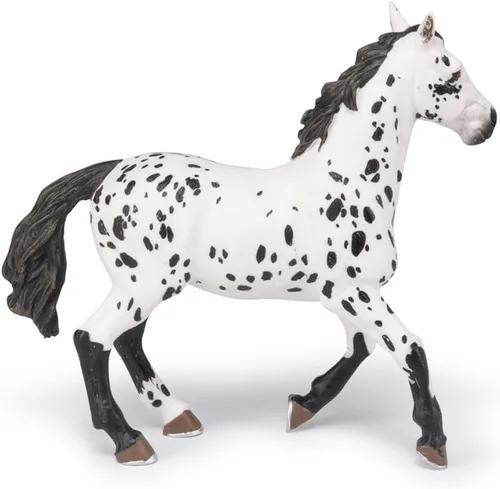 Miniatura 8 de Papo - Figura de caballo Appaloosa negra realista para niños - A partir de 3 años - Colección de caballos y ponis - Juego educativo para montar a