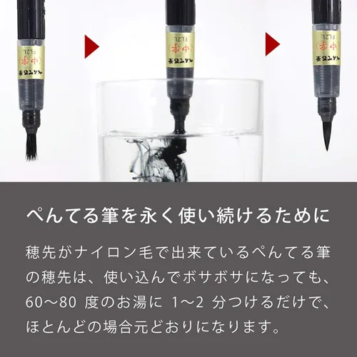 Miniatura 5 de Pentel - Pluma de pincel Pentel XFP5M, punta mediana, color negro
