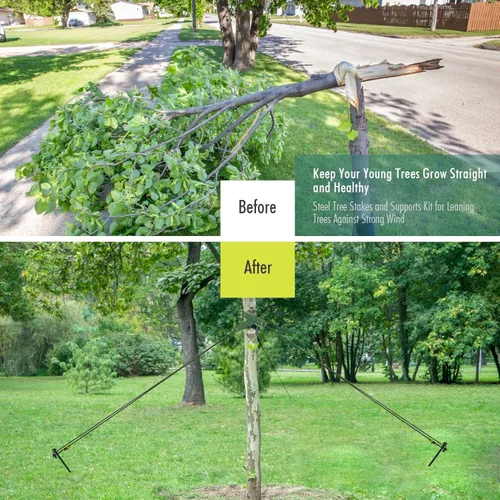 Miniatura 3 de Estacas y soportes para árboles, kit de estaca para árbol de Fetanten con correas para árbol y cuerda en patio al aire libre, 3 piezas