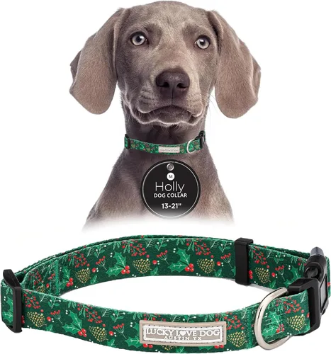 Miniatura 84 de Lucky Love Dog - Collar de perro ajustable con hebilla de fácil clic para los grandes, duradero y cómodo para perros machos y hembras, collar