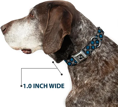 Miniatura 6 de Buckle Down Turquesa/Negro/Gris Argyle Asiento Hebilla de cinturón perro collar, S, Azul