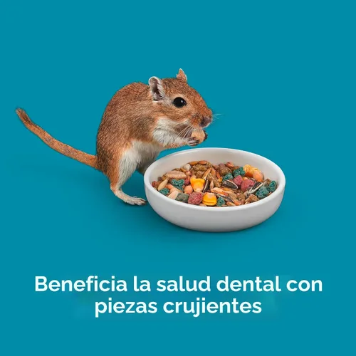 Miniatura 8 de Alimento para hámster, Kaytee Forti dieta pro salud, Púrpura