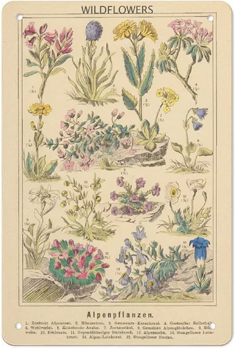 Póster de aluminio vintage de metal con estampado de flores silvestres de 8 x 12 pulgadas, letrero de pintura para decoración de pared, decoración