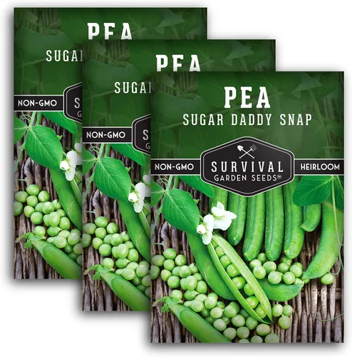 Survival Garden Seeds - Semilla de guisante Sugar Daddy Snap para plantar - 3 paquetes con instrucciones para plantar y cultivar en deliciosas