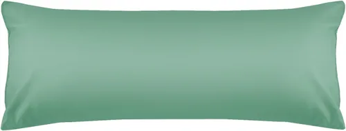 Miniatura 47 de Warmstar - Juego de 2 fundas de almohada de algodón tamaño estándar, 600 hilos, fundas de 20 x 26 pulgadas, algodón suave de fibra larga Placid Blue