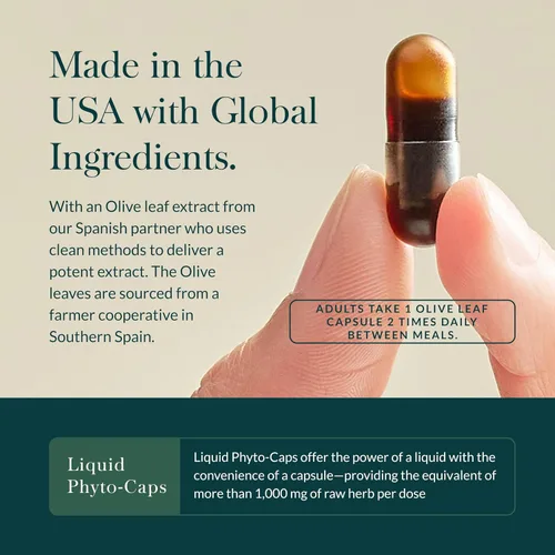 Miniatura 4 de Gaia Herbs Olive Leaf - Apoyo tradicional para la salud inmunológica, suplemento para el sistema inmunológico con extracto de hoja de oliva