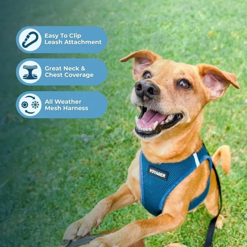 Miniatura 61 de Best Pet Supplies Voyager Step-in Air Arnés – Malla para todo clima, reflectante, arnés antitirones para perros y gatos, seguro con cierre de gancho
