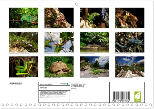 Miniatura 2 de REPTILES (calendario mensual de pared 2022 11.7 x 16.3 in (abierto)