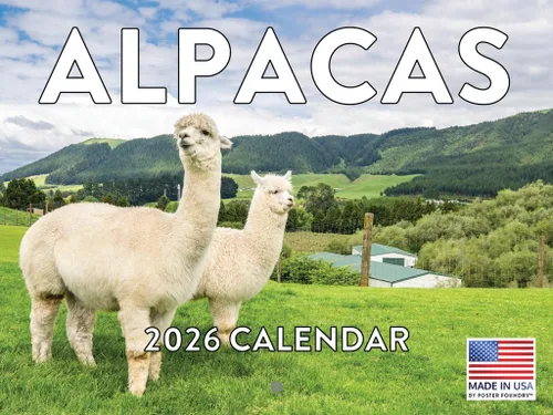 Calendario alpaca 2026, calendario mensual de pared de 12 meses | Hecho en Estados Unidos.